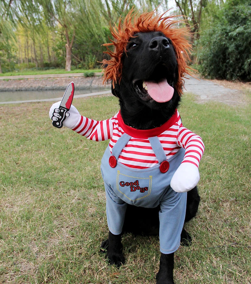 Chucky Dog Costume - Halloween Costume