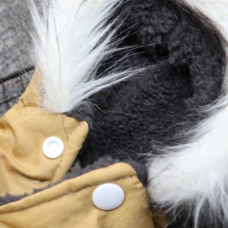 Cozy Winter Adventure Jacket For Dogs