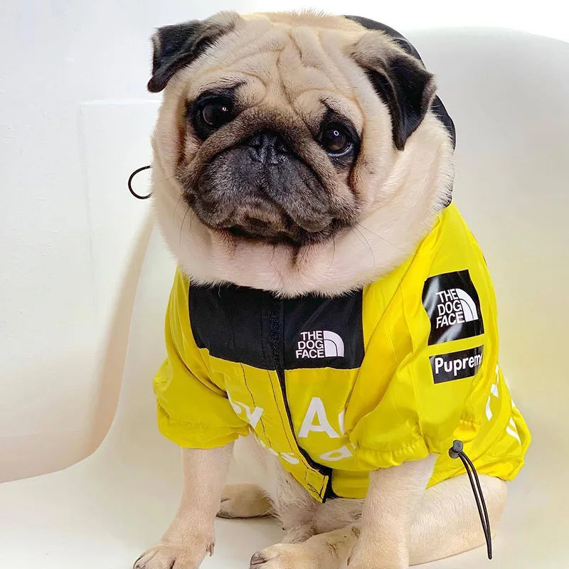 Waterproof Dog Jacket With Hoodie