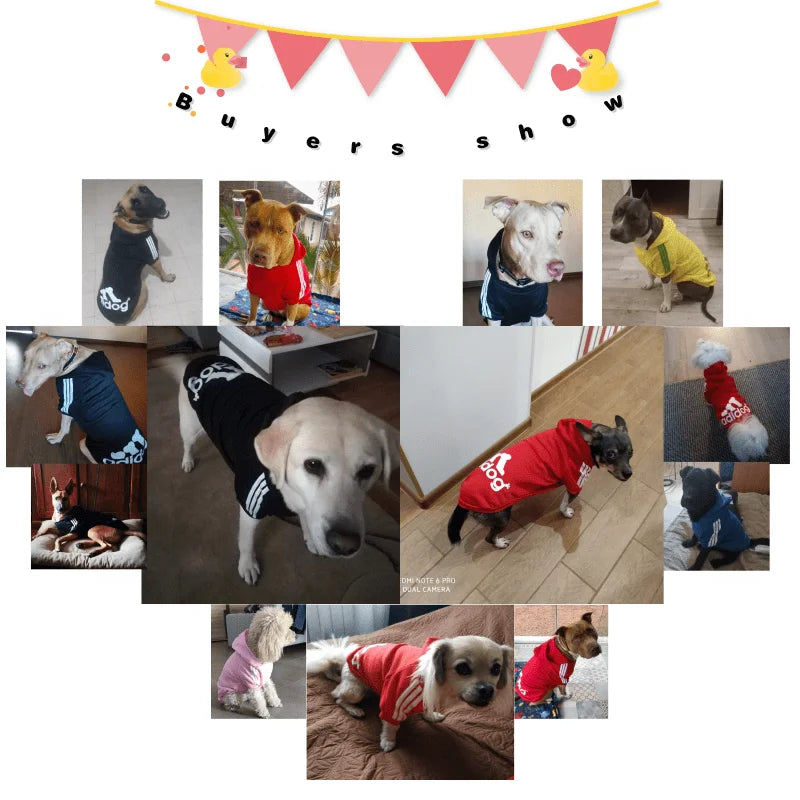 Winter Hoodie for Dogs