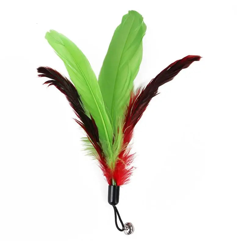 11-Piece Cat Feather Toy Set