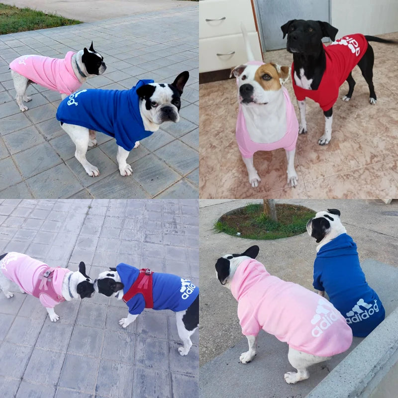 Winter Hoodie for Dogs