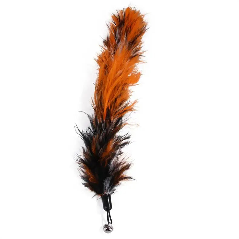 11-Piece Cat Feather Toy Set