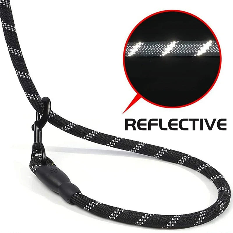 Reflective Nylon Dog Leash with Comfortable Padded Handle