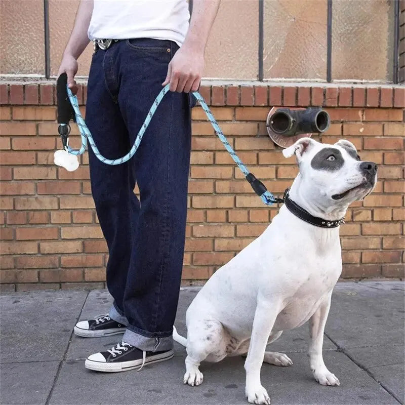 Reflective Nylon Dog Leash with Comfortable Padded Handle