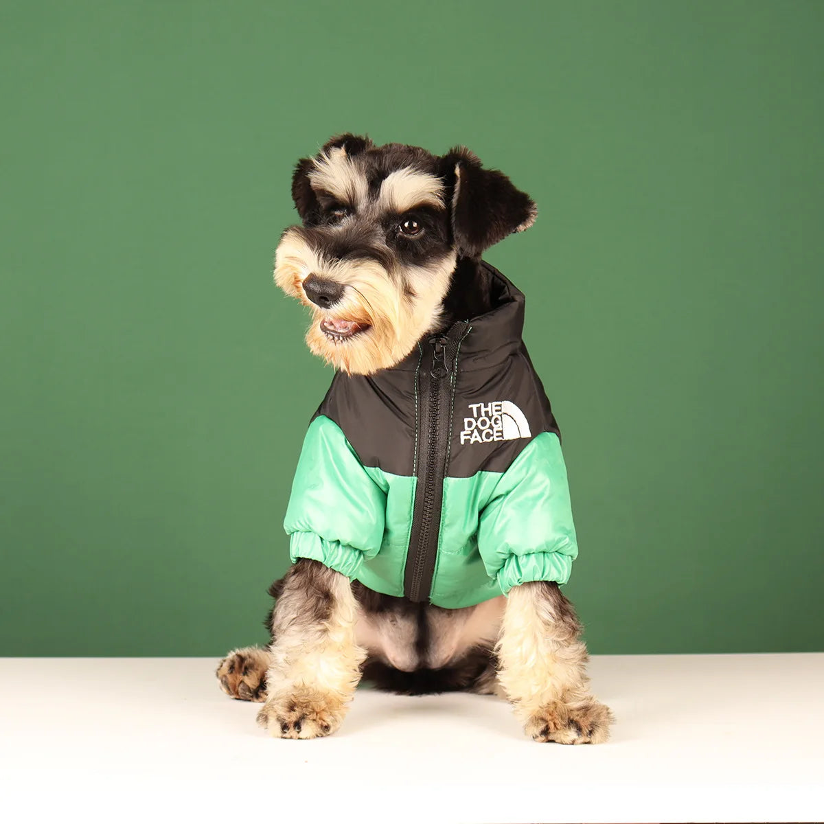 Winter Dog Waterproof Jacket