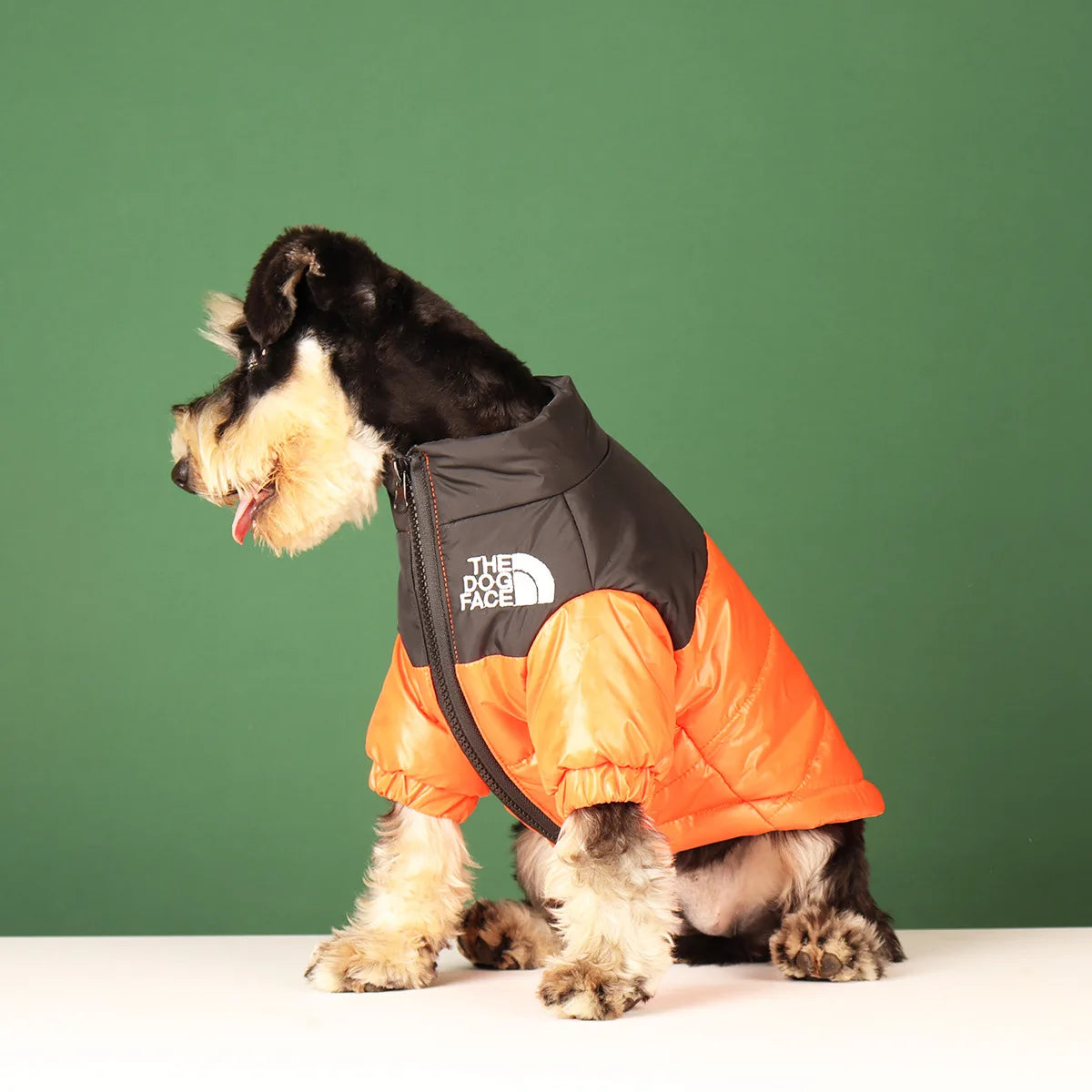 Winter Dog Waterproof Jacket