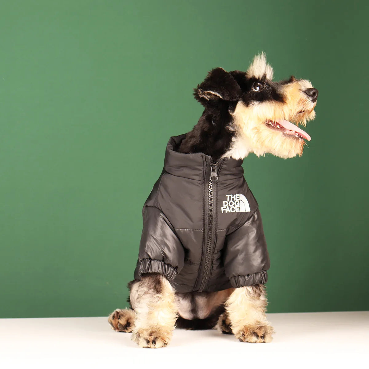 Winter Dog Waterproof Jacket