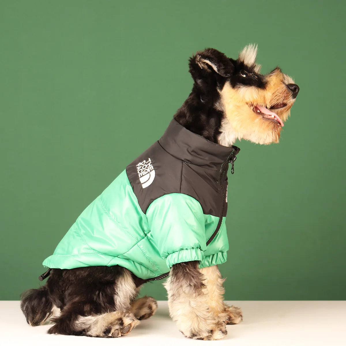 Winter Dog Waterproof Jacket