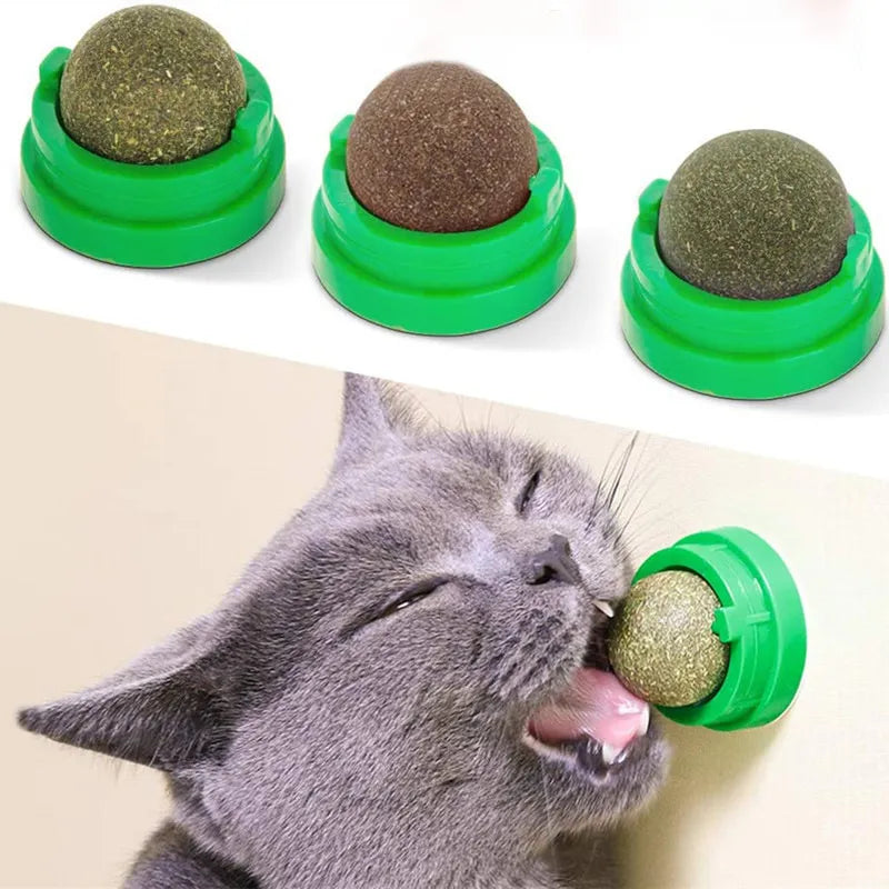 Natural Catnip Chew Snack