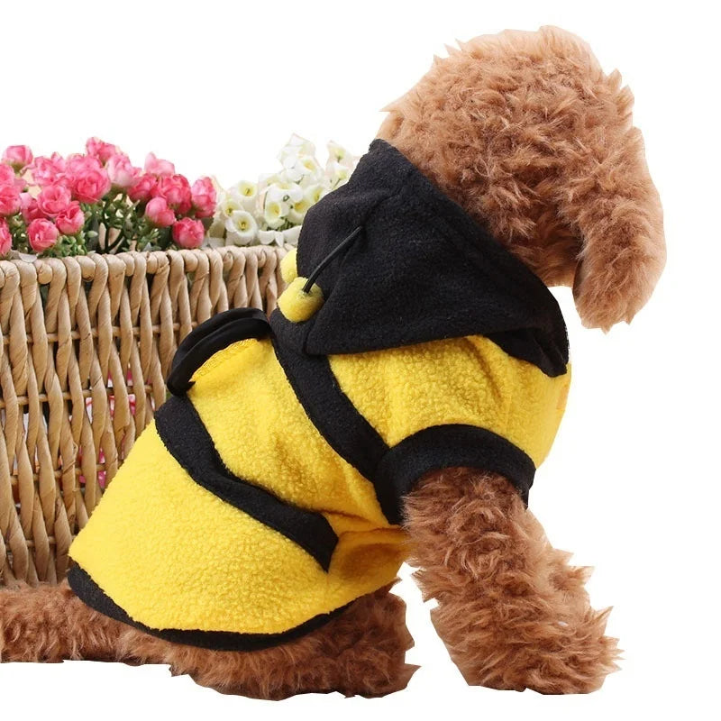 Bee Coat For Small Dogs - Halloween Custom