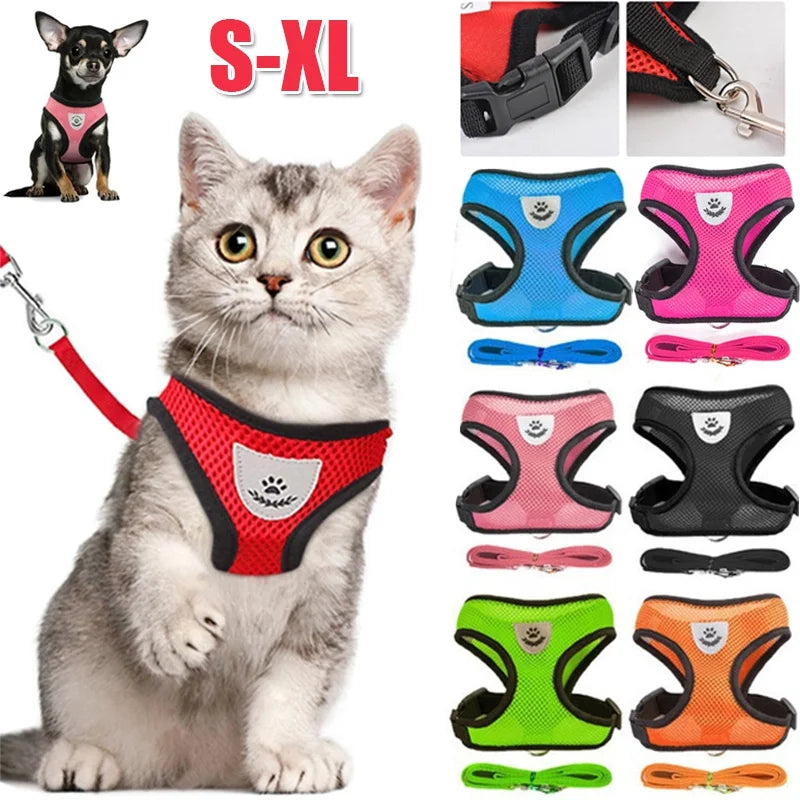 Cat and Small Dogs Harness with Leash