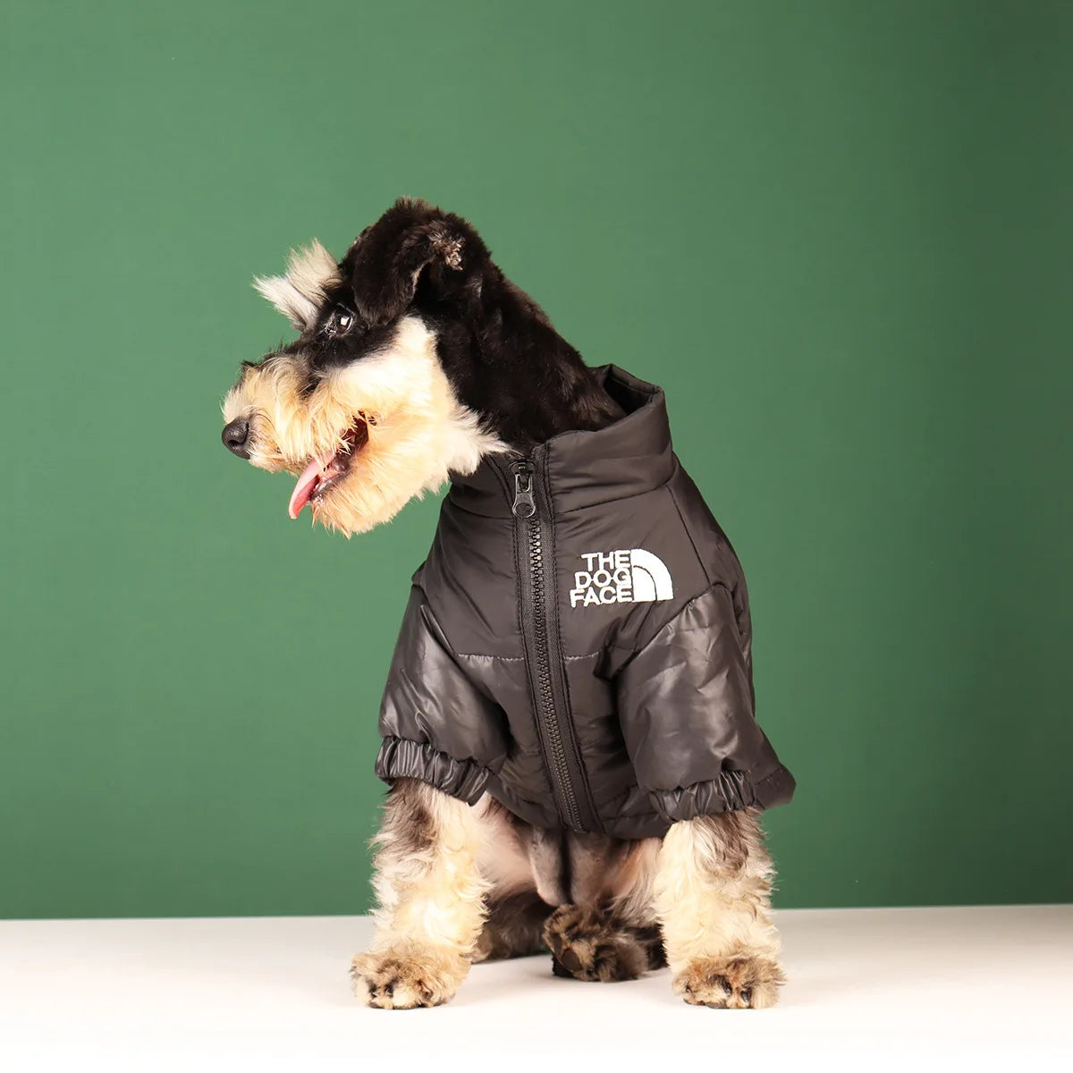 Winter Dog Waterproof Jacket