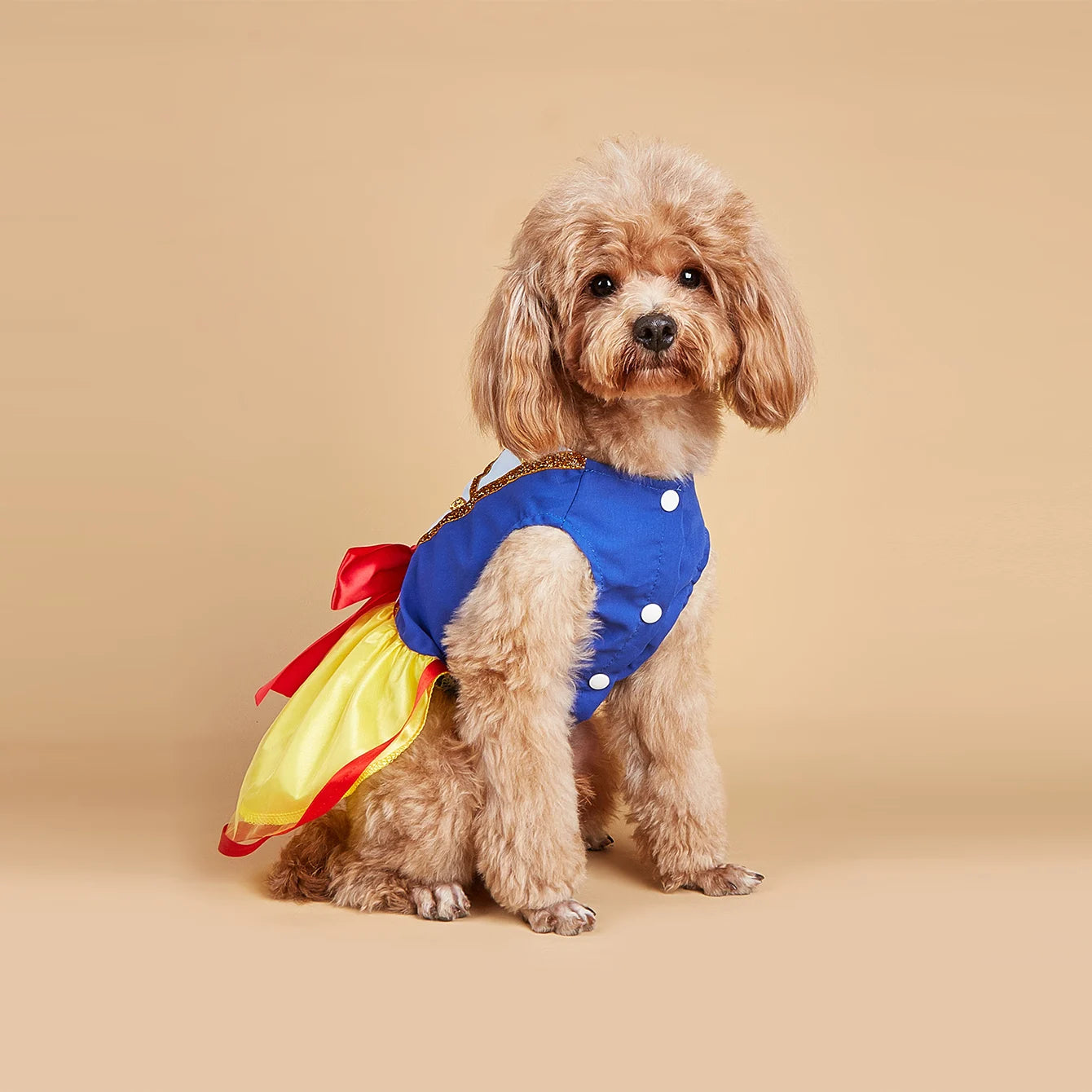 Snow White Dog Costume - Halloween Costume