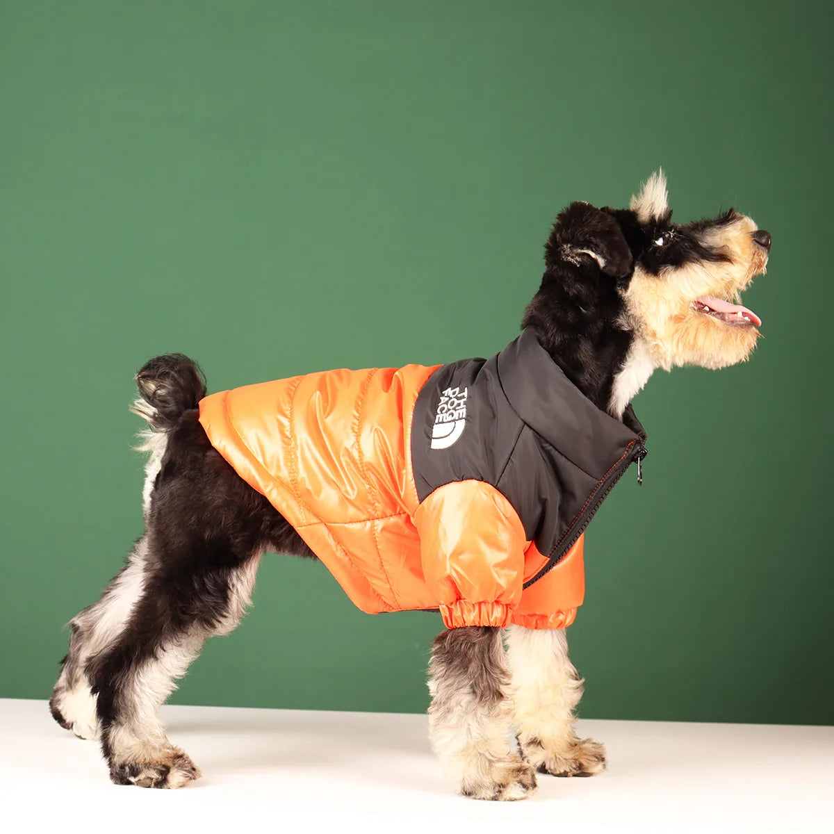 Winter Dog Waterproof Jacket