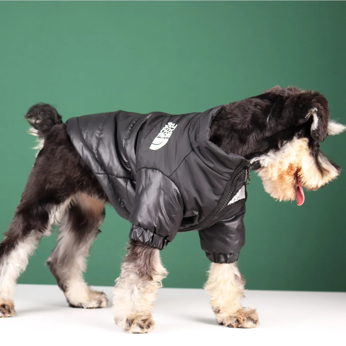 Winter Dog Waterproof Jacket