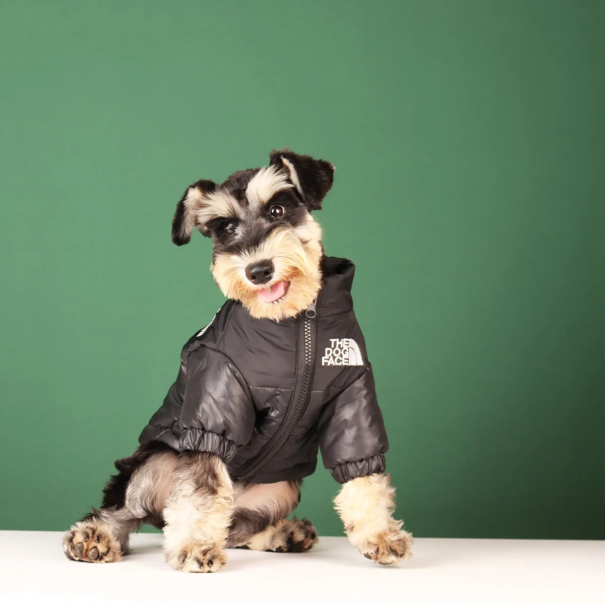 Winter Dog Waterproof Jacket