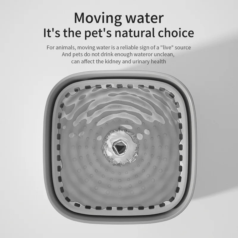 3L Automatic Pet Water Fountain with Quiet Motor