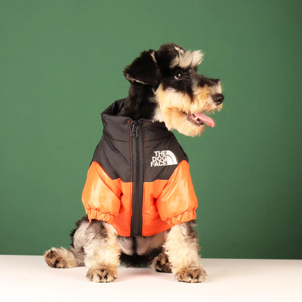 Winter Dog Waterproof Jacket