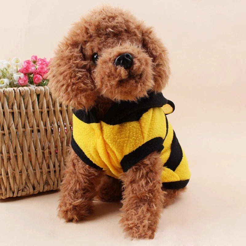 Bee Coat For Small Dogs - Halloween Custom