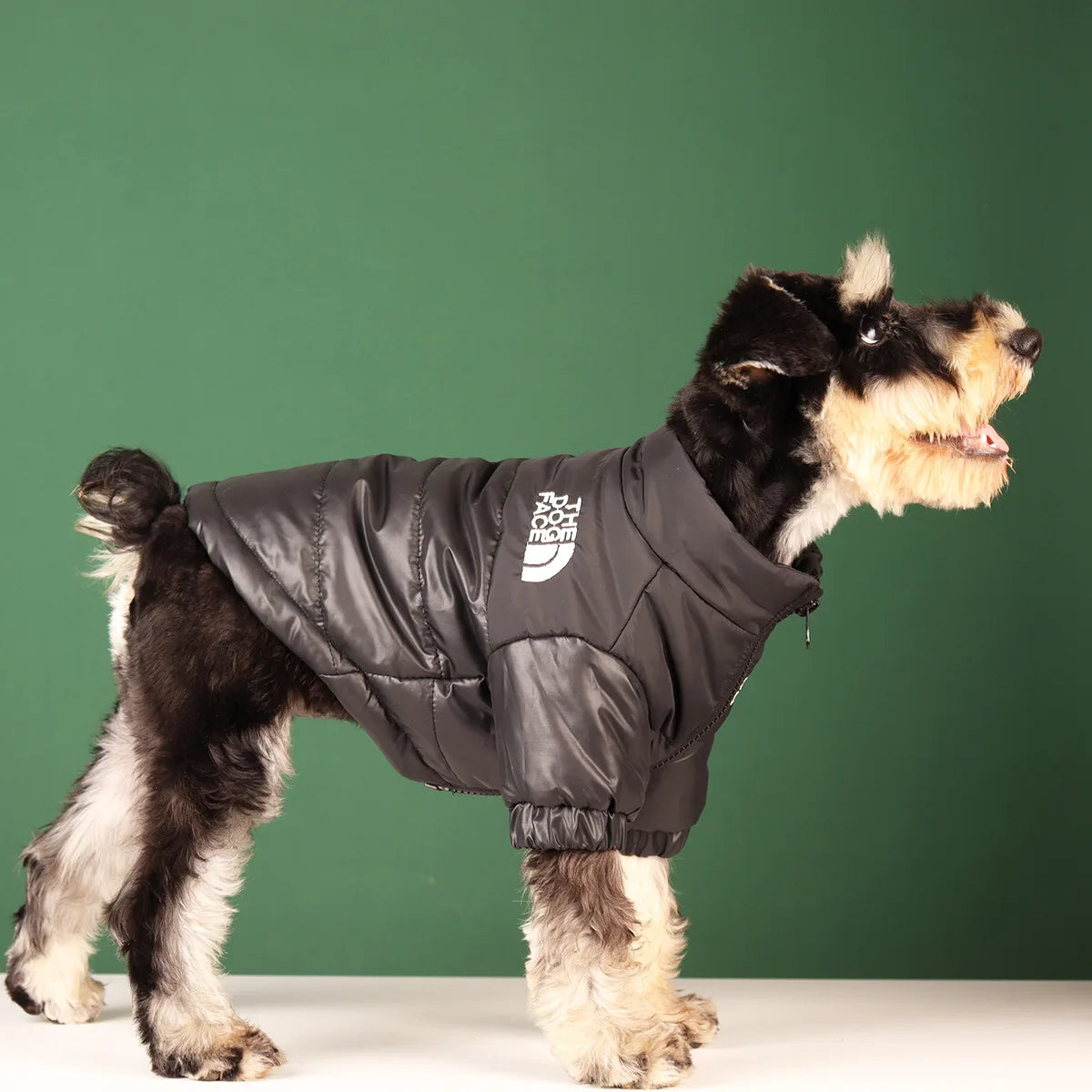 Winter Dog Waterproof Jacket