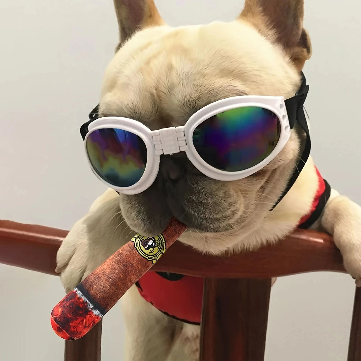 Cigar Toy For Dogs