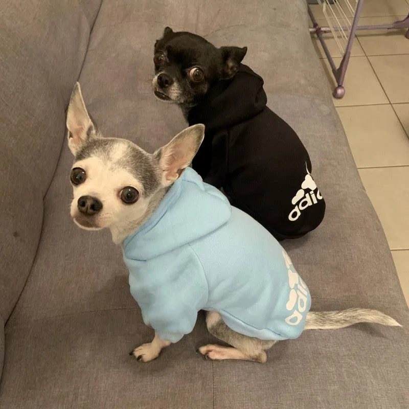 Winter Hoodie for Dogs