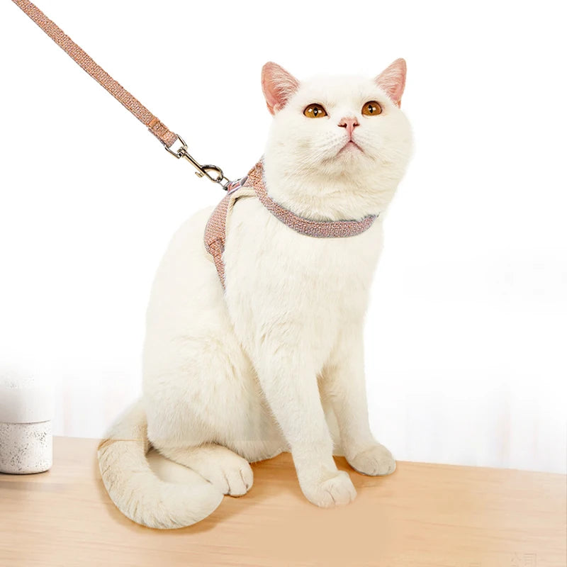 Cute Bear Leash and Harness for Cats and Small Dogs