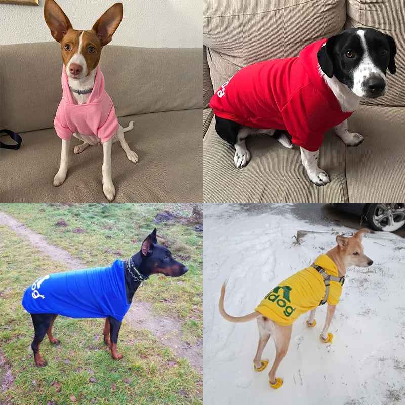 Winter Hoodie for Dogs