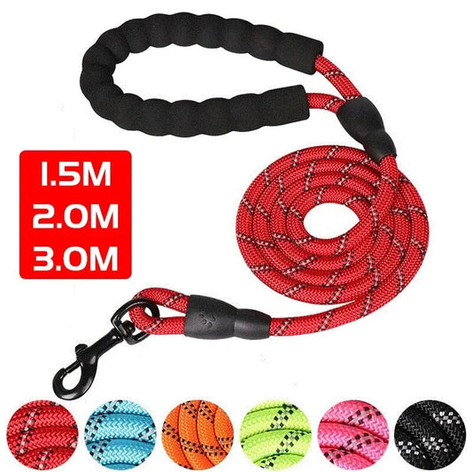 Reflective Nylon Dog Leash with Comfortable Padded Handle