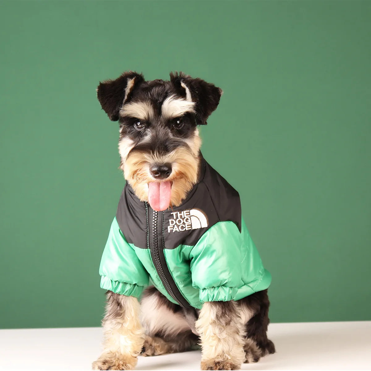 Winter Dog Waterproof Jacket