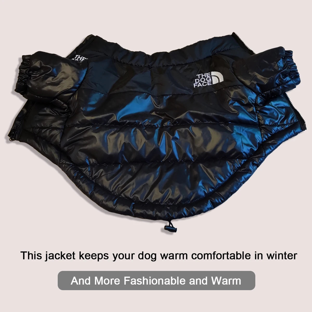 Winter Dog Waterproof Jacket