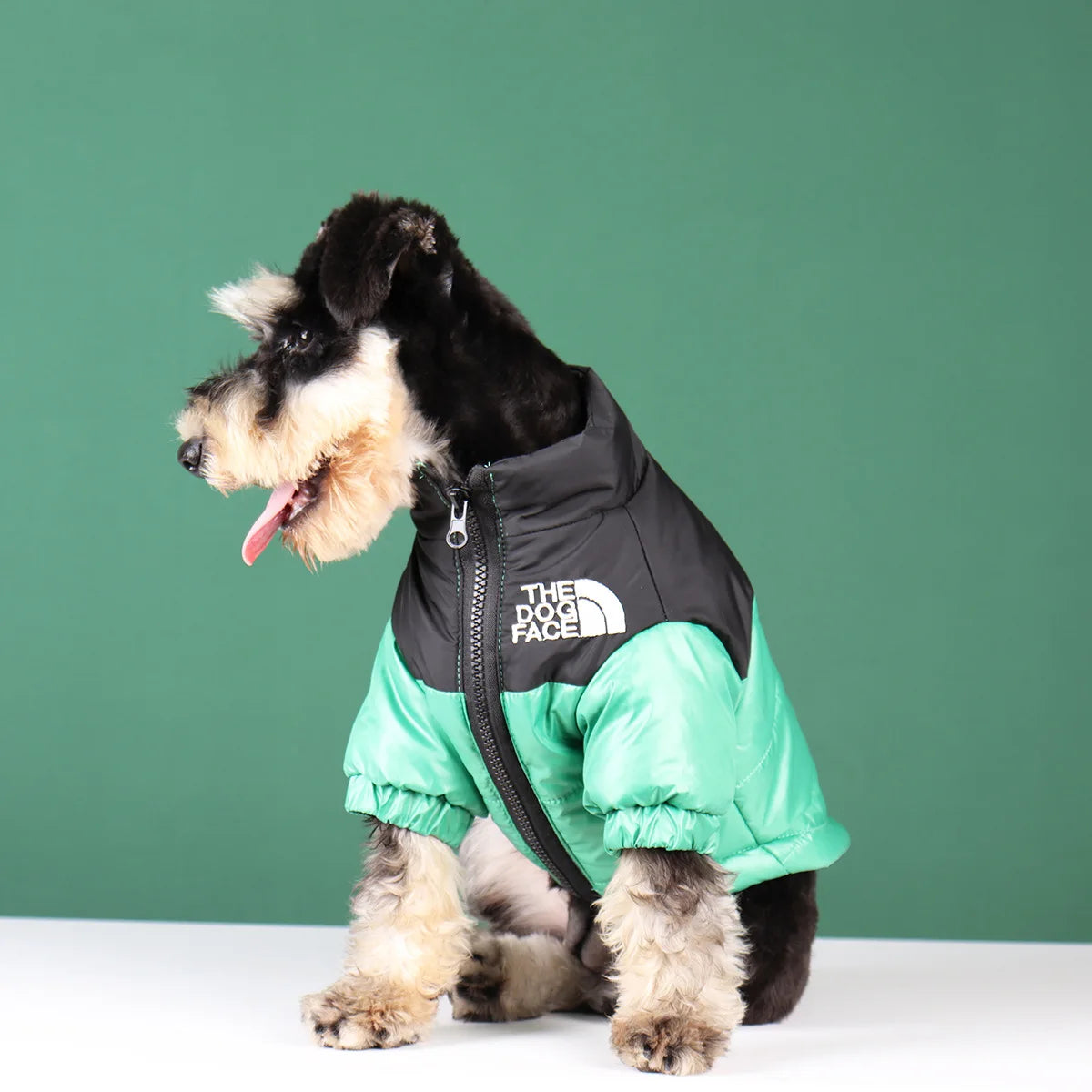 Winter Dog Waterproof Jacket