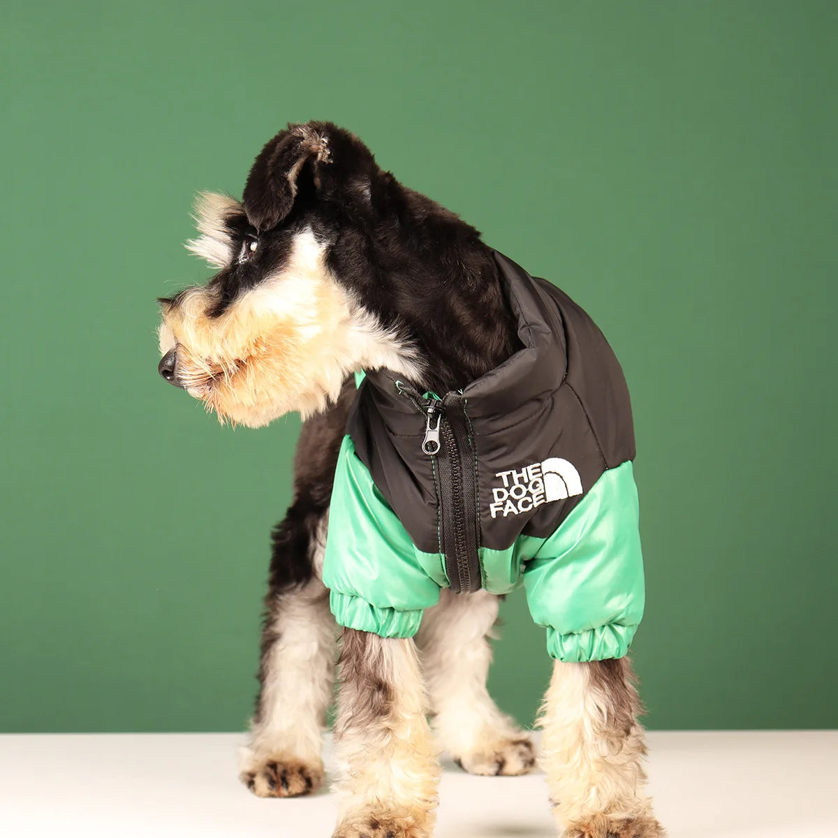 Winter Dog Waterproof Jacket