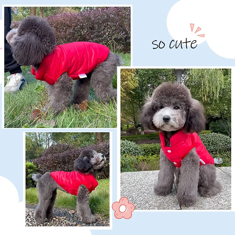 Double Sided Jacket for small and medium dogs