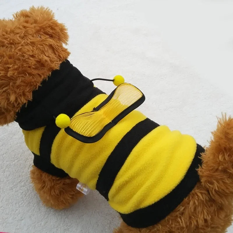 Bee Coat For Small Dogs - Halloween Custom