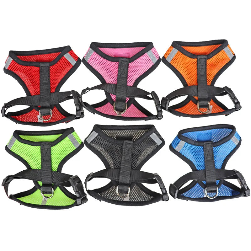 Cat and Small Dogs Harness with Leash